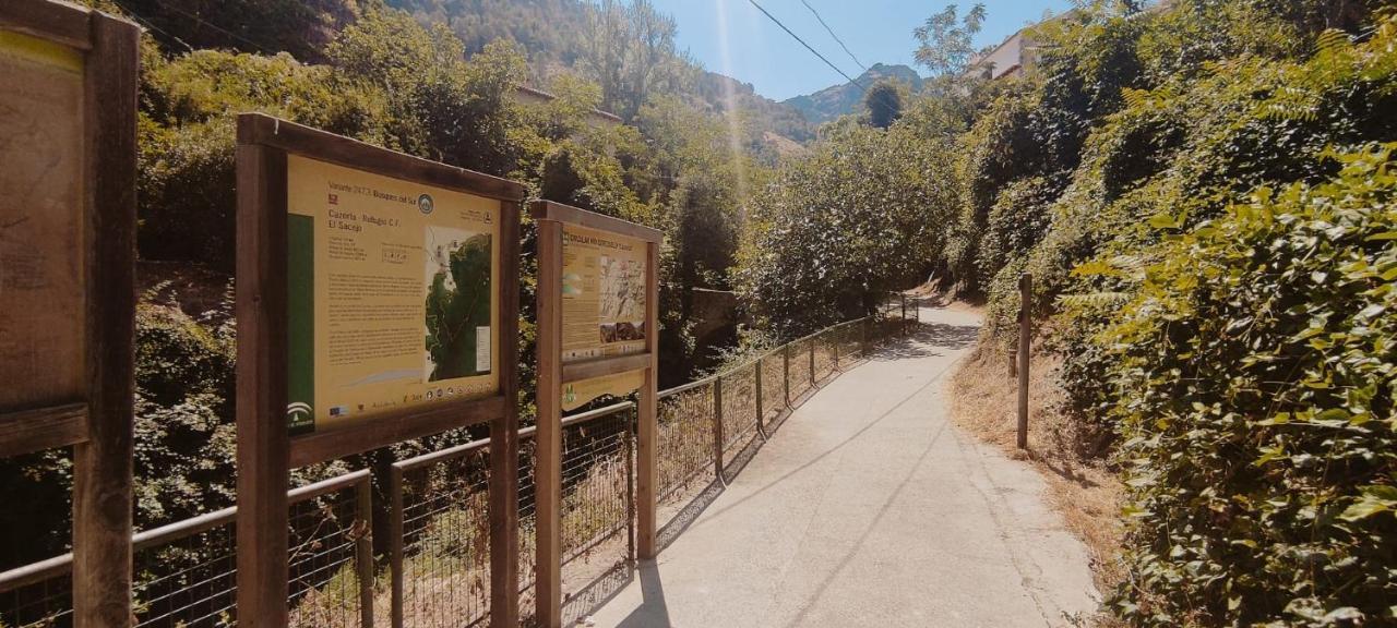 Alojamientos Puerta Del Parque Cazorla Exterior photo